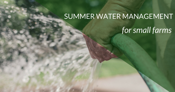 Summer Water Management